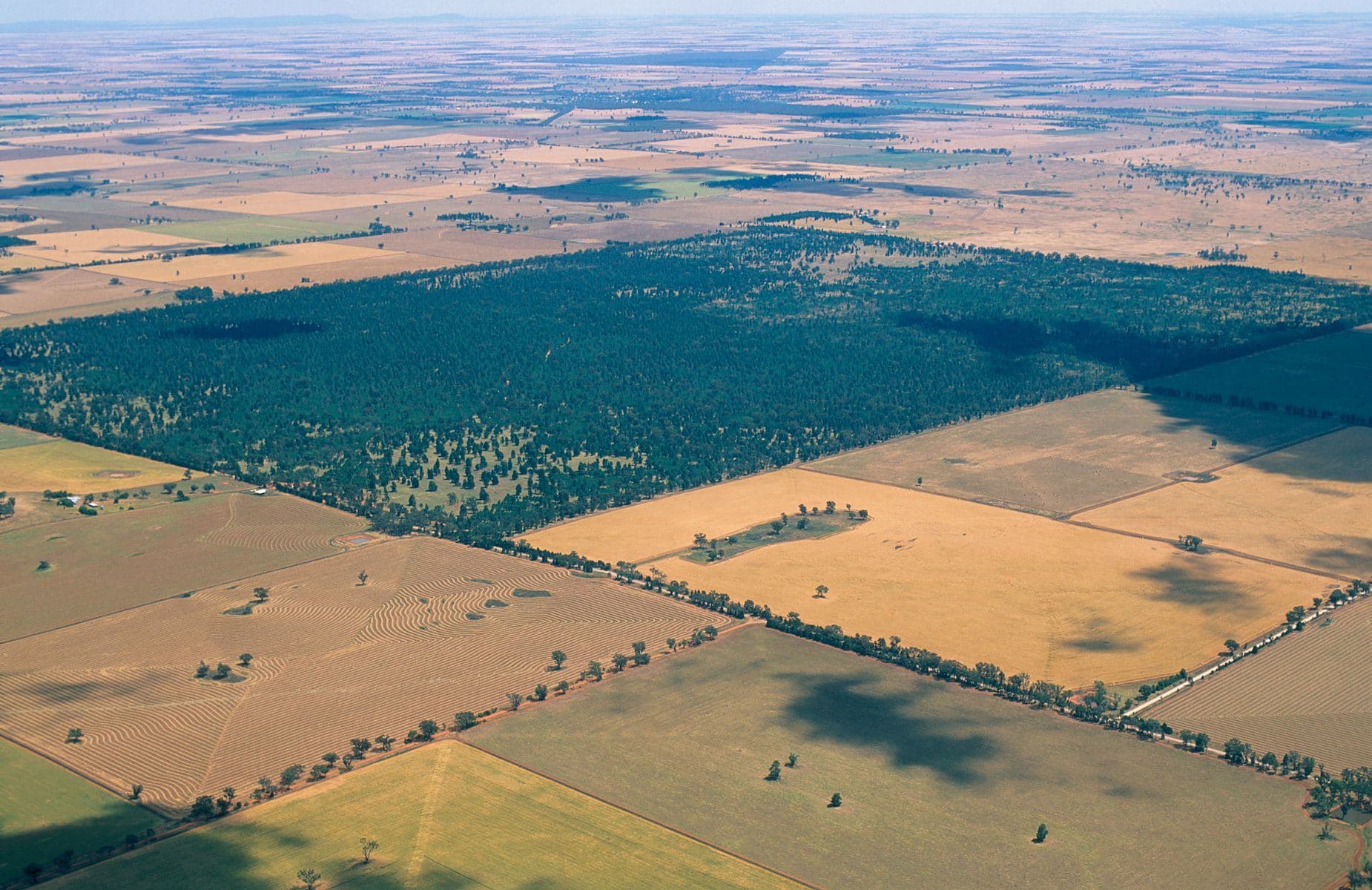 Aerial view of wheat farms near Coolamon, New South Wales (photographed 1999)