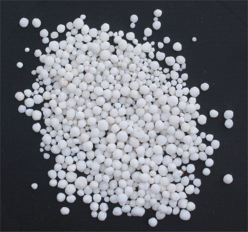 White granules of a nitrogen fertiliser (calcium ammonium nitrate shown) on a dark background