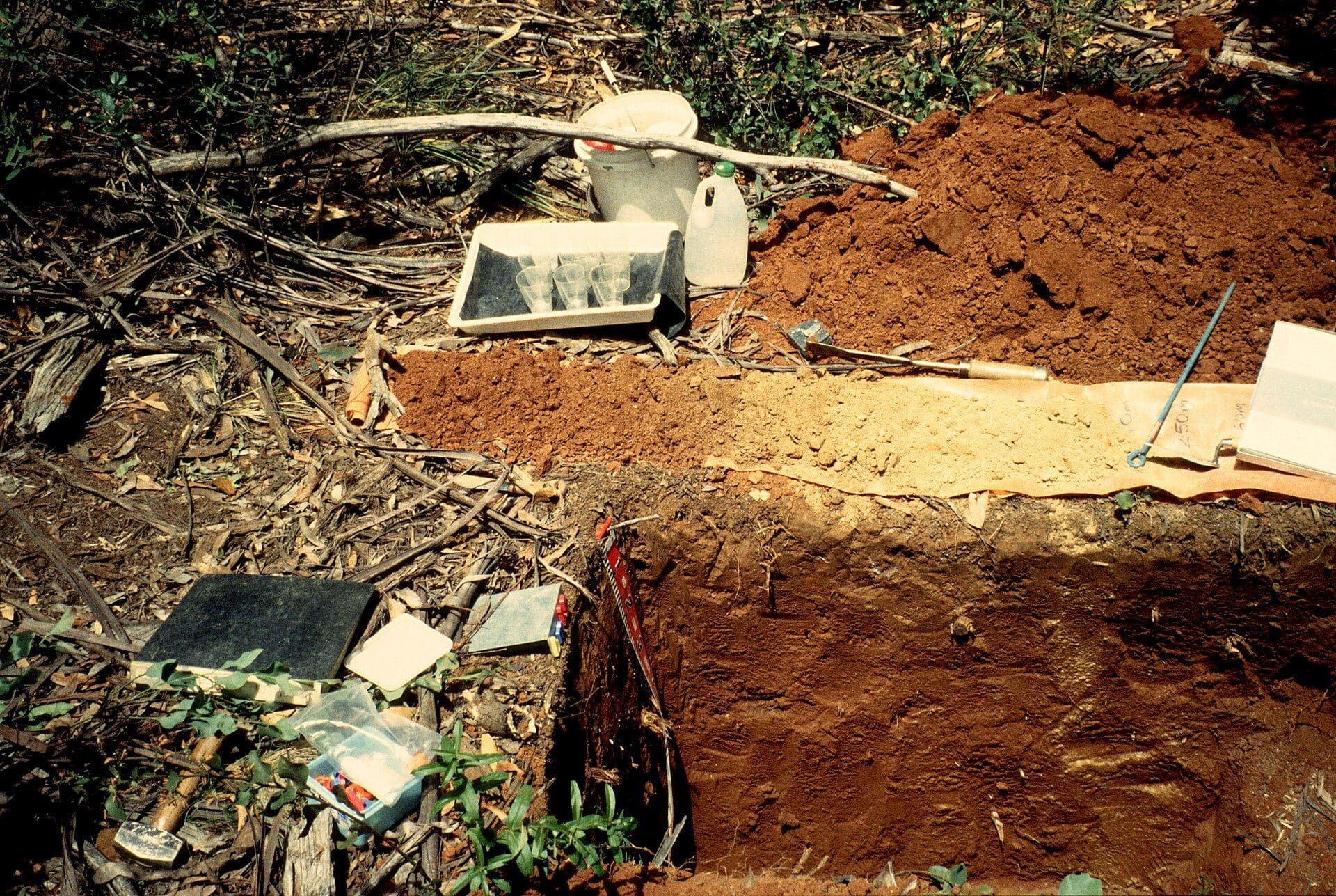 Excavated soil pit with soil samples laid out for profile description